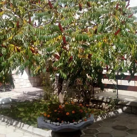 балнеохотел роза