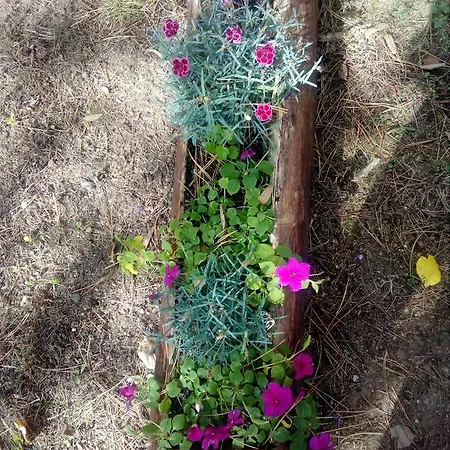 балнеохотел роза 2* Strelcha